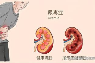 开云电竞官网首页网址是什么截图2